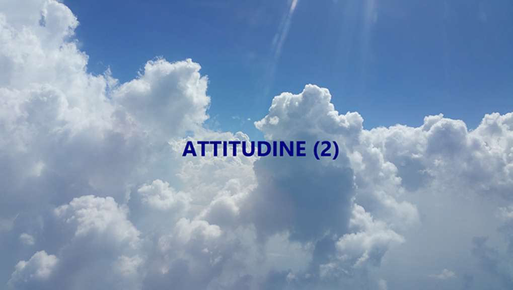 ATTITUDINE (2)