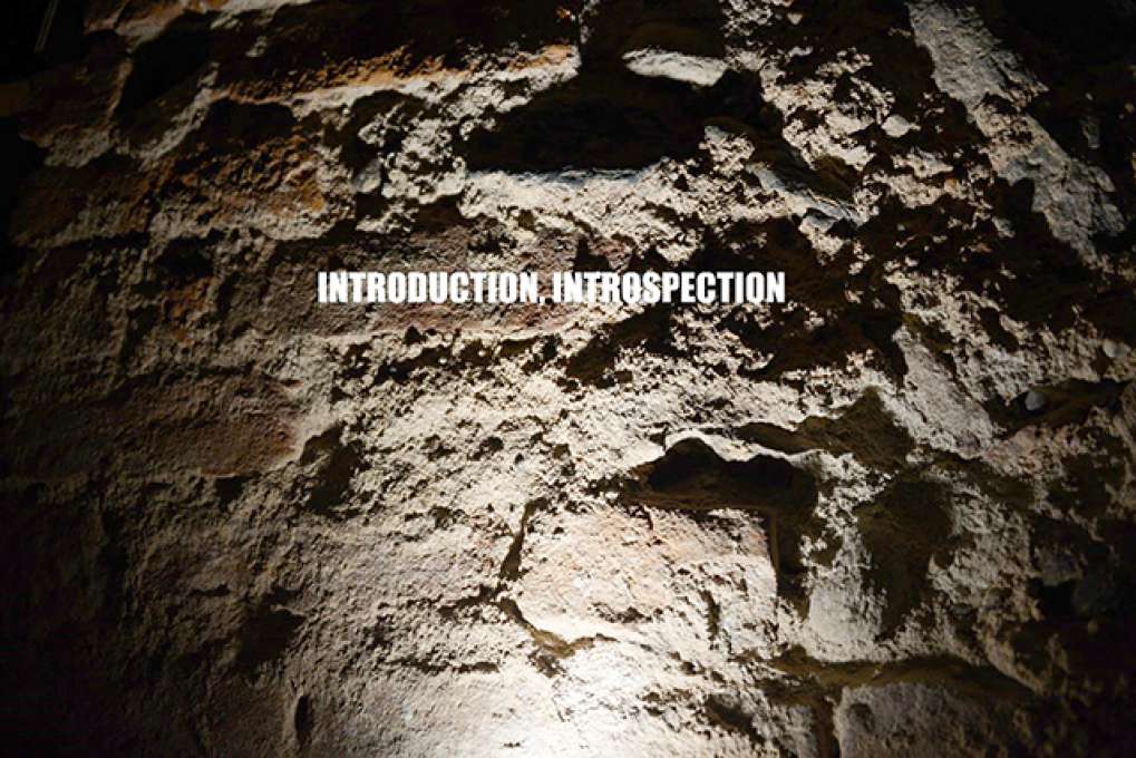 INTRODUCTION, INTROSPECTION