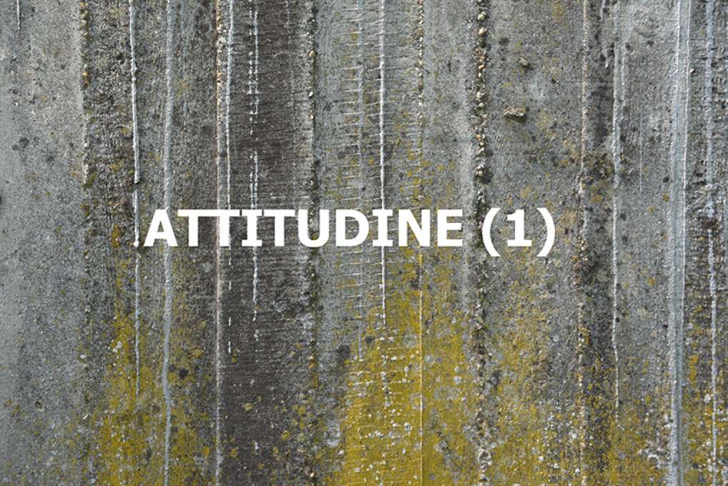 ATTITUDINE