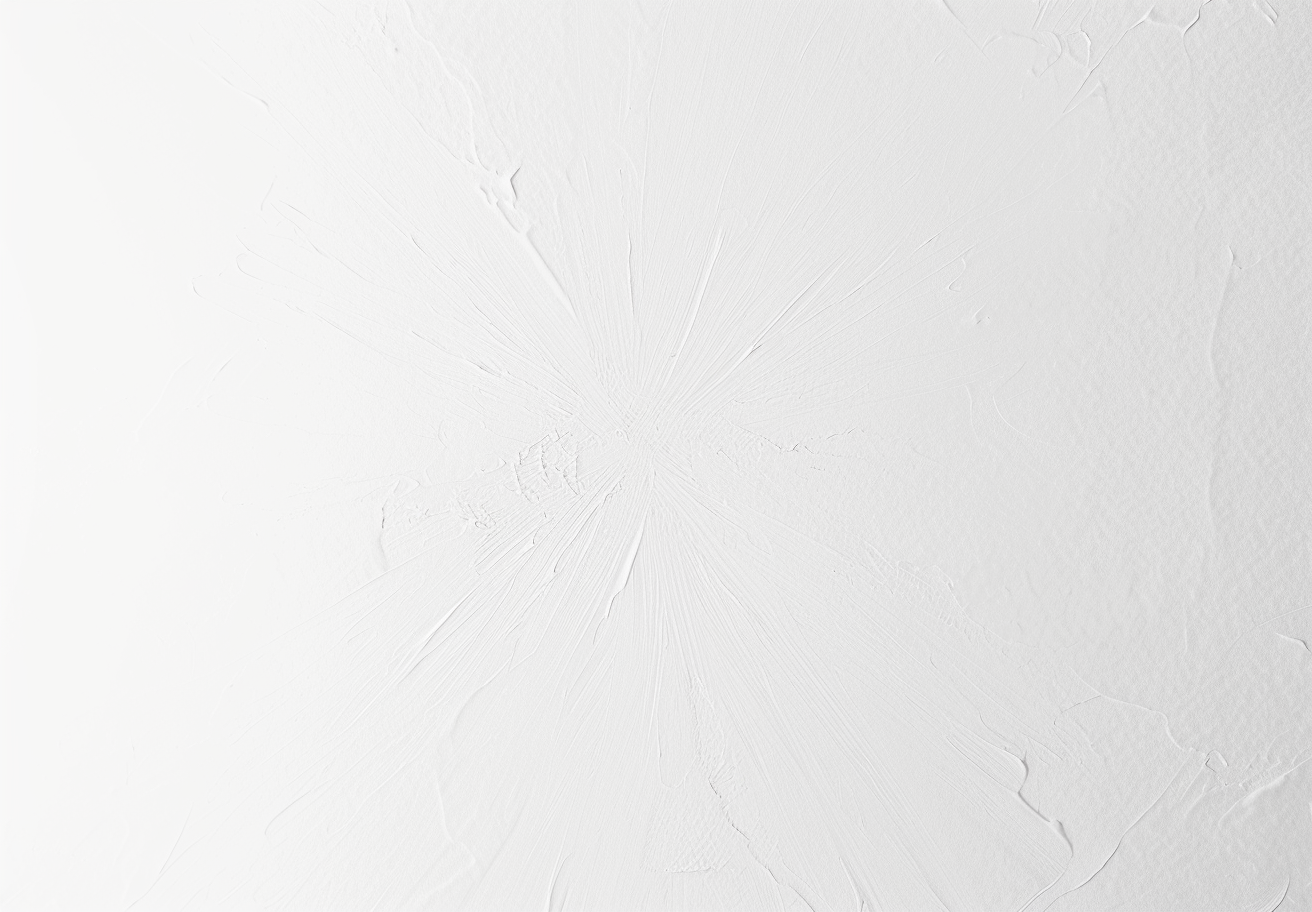 L'UOMO CON LA MACCHINA DA PRESA